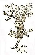 Hortus sanitatis 1491