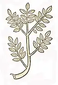 Hortus sanitatis 1491
