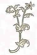 Hortus sanitatis 1491