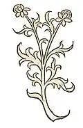 Hortus sanitatis 1491