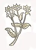 Hortus sanitatis 1491