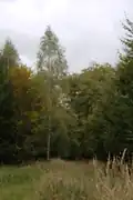 Randbereiche