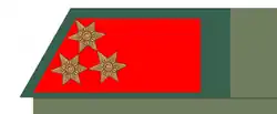 Besondere Parolis für einen Hauptmann des Geniestabes auf der hechtgrauen Feldbluse gem. Verordnung von 1916