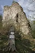 Hauptturm von Westen, 2017