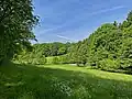 Unteres Huckenbachtal