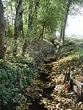Gleueler Bach bei Sielsdorf