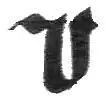 Porrectus 3. Form