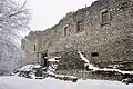Burgruine im Winter