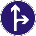 D-5 Vorgeschriebene Fahrtrichtung – geradeaus oder rechts