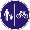 D-29 Getrennter Rad- und Gehweg (Radweg rechts)