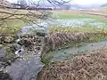 Gutenbach direkt unterhalb des Hungerbrunnens