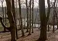 Stark mäandrierende Hunte bei Dötlingen