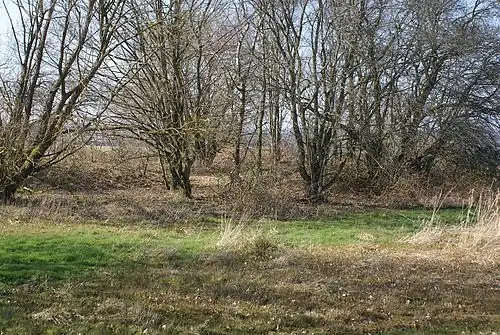 Bodenaufnahme
