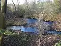 Mündung des Hurlebachs (vorn, von links) in die Oker unterhalb des Sees