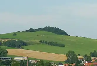 Der Hutberg