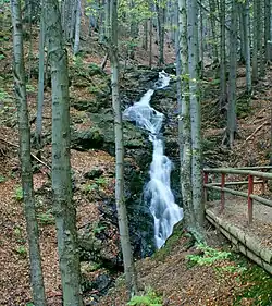 Der Hüttenbachfall