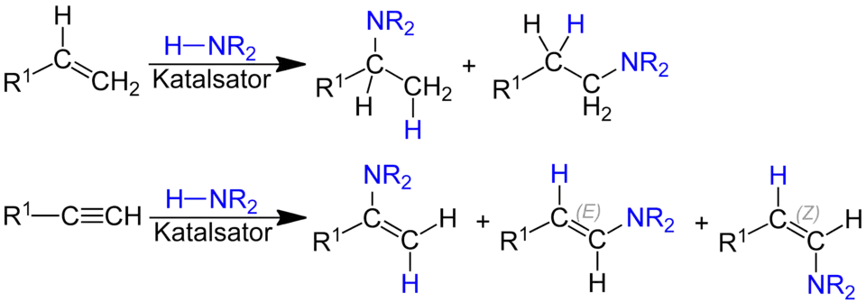 Hydroaminierung