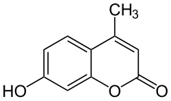 Struktur von Hymecromon