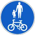 RUS-058 Gemeinsamer Geh- und Radweg