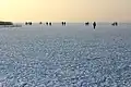 Steinhuder Meer im Winter