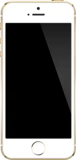iPhone 5s