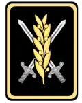 Kragenspiegel eines iranischen Generals (Sardar) der Armee.