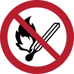 P003: Keine offene Flamme; Feuer, offene Zündquelle und Rauchen verboten