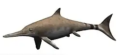 Lebendrekonstruktion von Ichthyosaurus communis