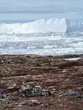 Durch den Eisfjord treibender Eisberg