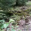 NSG Eiterbachtal