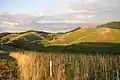 Ein junges Mittelgebirge in Baden-Württemberg: der Kaiserstuhl
