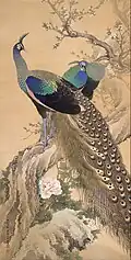 Pfau­en im Früh­ling[1]