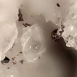 Prismatische Hutchinsonit-Kristalle (leuchtend rot, links oben und unten) mit Imhofit (bronzefarben, rechts) in Dolomit (farblos) aus der Grube Lengenbach, Schweiz