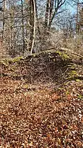 Möglicher Turmrest im Wallbereich