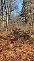 Steinerne Wallreste