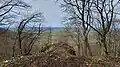 Blick vom Burgfelsen ins Tal