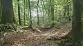 Der äußere Burggraben