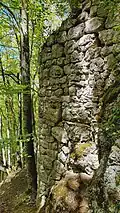 Der Ruinenrest talseitig von Spalten durchzogen