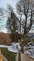 Halsgraben und Burgstall von der Zugangsseite