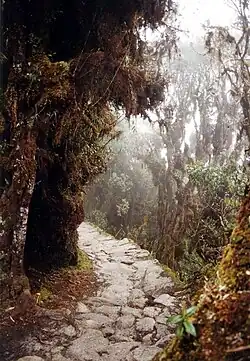 Inka-Pfad von Cusco nach Machu Picchu
