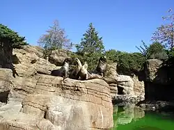 Seelöwenanlage