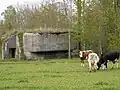 Infanteriebunker A 5640 Triboltingen-Schragenhauf