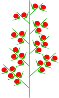 Doppelähre