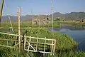 Auf dem See