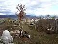Vordere Ruine Wartenberg, Muttenz, Innenbereich mit Gedenkstein
