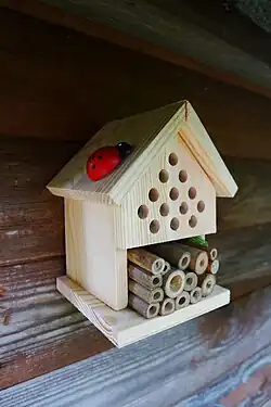 alternative Beschreibung