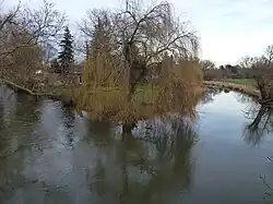 Die Hänicher Insel