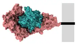 Interleukin-1-Rezeptor Typ 1