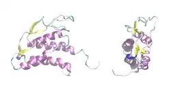 Interleukin-21