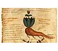 Pseudo-Apuleius Kassel 9. Jahrhundert